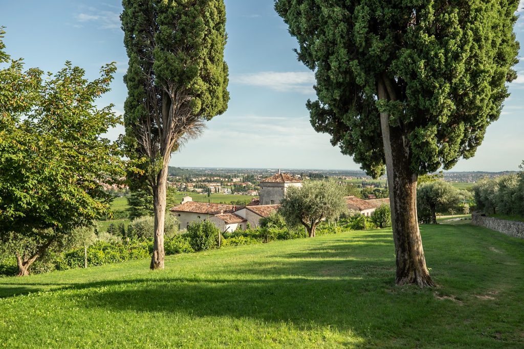 Valpolicella Classica